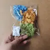 Bolsas de Porciones Pequeñas de Flores Secas, Flores Conservadas, Abanicos Hechos a Mano para DIY, Arreglos Florales Flotantes, Actividades de Team Building, Pegamento, Pinzas