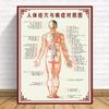 Diagrama dos Pontos de Acupuntura do Corpo Humano, Ventosaterapia nos Meridianos da Acupuntura, Comparação entre Pontos de Acupuntura para Beleza e Doenças, Pôster Grande de Medicina Tradicional Chinesa para Cuidados com a Saúde