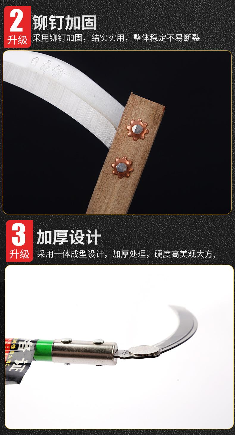 详情_13
