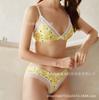 Conjunto de Sujetador con Estampado Europeo y Americano Fino de Copa Inferior para Mujer Transfronterizo Personalizado Conjunto de Dos Piezas Sin Almohadilla Conjunto de Encaje