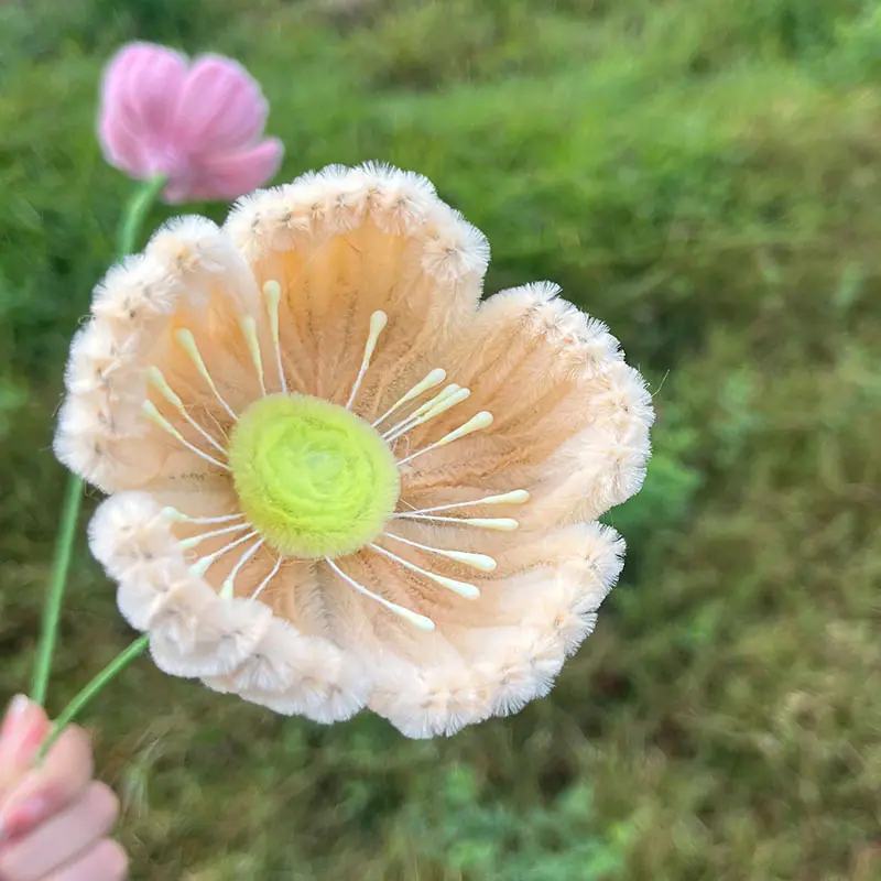 虞美人 肤色