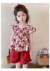 Conjunto para Meninas Roupas de Verão 2025 Novo Estilo Tops de Manga Curta para Crianças Shorts para Crianças Moda de Verão Roupas de Bebê