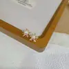 Brincos de Prata S925 com Pérolas Naturais de Água Doce Incrustadas, Simples e Versáteis, Vários Estilos de Pérolas, Novos Brincos 2026 Atacado