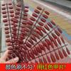 Arte de Uñas Rojo Parche de Uñas Prefabricado Cereza Escarchada Piezas de Uñas Postizas Uña Postiza Semiterminada PMMA Código Armadura