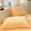 Funda de almohada de terciopelo de leche estilo blogger Ins, pieza única, invierno, engrosada, cálida, terciopelo de coral, funda versátil para núcleo de almohada, 48*74, artículo único
