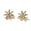 Brincos de Marca Famosa Transfronteiriços Europeus e Americanos de Luxo Leve, Venda Quente Transfronteiriça, Banhados a Ouro Real 14K, Modelo Novo, Marca de Designer Medida