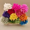 Flores Secas ao Ar, Pedras Preciosas de Cor Original, Flores Secas Antigas, Espigas de Trigo, Pedras Preciosas, Buquês, Flores Imortais, Flores para Casa Amazon