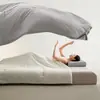 Colcha Profunda Classe A Pro3 Colcha Quatro Estações Primavera e Outono Ar Condicionado Núcleo de Colcha de Inverno Lavável à Máquina Sem Capa de Colcha Nova Colcha Dupla Camada Pai-Filho