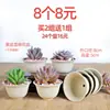 Maceta para pulgar suculenta mini mini maceta para pulgar maceta de cerámica para flores suculentas planta creativa flor pequeña Ma Long mesa Mai Tai Bao