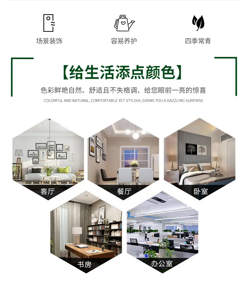 详情_02.jpg