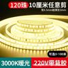 Tira de Luces LED de Doble Fila de Alto Voltaje 220V sin Controlador para Iluminación Exterior, Tira de Luces LED Autoadhesiva, Línea de Luz Impermeable Ultra Brillante