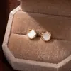 Pendientes de Botón Redondos Pequeños Negros, Versátiles para el Uso Diario, Estilo Popular, Exquisitos Pendientes de Aguja de Imitación Plateada, Sensación de Alta Gama, Suaves con los Agujeros de las Orejas, Accesorios Simples para las Orejas