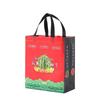 Bolsa de Durian Hecha a Medida Bolsa Tote de Fruta Sandía No Tejida Bolsa de Empaque Exterior Bolsa de Plástico Personalización de Empaque de Fruta