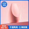 Esponja de Maquillaje Multifacética, Esponja No Absorbente, Esponja de Maquillaje al por Mayor, Esponja para Fijar Maquillaje, Borla de Esponja de Maquillaje Multiusos