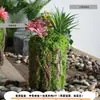 Plantas Verdes, Musgo, Casca de Árvore, Troncos de Árvore Falsos, Jardim de Infância com Tema Floresta, Estilo Pastoral, Enfeites de Musgo, Decorações de Paisagismo, Podem Ser Usados para Arranjos de Flores