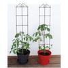 Estante para trepar Clematis Soporte para flores Soporte para flores Estante de hierro para trepar Soporte para flores trepadoras Estante para trepar Soporte para macetas de flores
