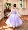 Vestido Nuevo Morado de Princesa Cuidadosamente Seleccionado con Mangas Largas de Malla y Bordado de Lentejuelas, Versátil Vestido de Tul Abullonado para la Actuación de Cumpleaños de Bebé
