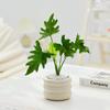 Dropshipping Bolsillo Coco Escritorio Pequeña Maceta Interior Sala de Estar Oficina Planta Verde Lu Planta Bonsái Todas las Estaciones