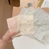 Mascarilla de Hielo para Piel de Verano Cubre Cadera Grande Sin Presión Cómodos Sin Costuras Extendido Algodón Puro 10A Calzoncillos Tipo Boxer para Mujer Modelo Nuevo