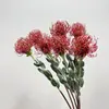 Flor Artificial África do Sul Almofada de Alfinetes Flor Imperial Casa Sala de Estar Mesa de Jantar Floral DIY Design Adereços para Fotos Segurando Buquês de Flores