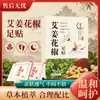 Parche para Pies de Ajenjo Jengibre Pimienta de Sichuan Parche para Pies de Ajenjo del Viejo Pekín Parche para Pies por la Noche Cuidado de Moxibustión con Ajenjo para Uso en Casa Parche para Pies por la Noche Fábrica Venta al por Mayor