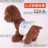 Pañales para Perros Macho, Pañales para Perros Macho, Pañales para Mascotas Perro Pomerania Perro Teddy, Anti-Acoso para Perros Macho