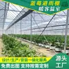 Abrigo de chuva mirtilo haste em Y filme integrado cereja estufa multi-vão com estrutura de tubo de aço e porta à prova de geada para cultivo de vegetais