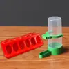 Bebedouro para Papagaio, Bebedouro para Pássaros, Comedouro para Pombos, Caixa de Comida para Galinha Ruddin, Artefato de Alimentação, Alimentador Automático para Pássaros
