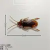 Uma variedade de acessórios de brinquedos de pegadinha de Halloween animais de simulação insetos aranha escorpião centopeia e outros brinquedos de pegadinha DIY