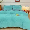 Exportación transfronteriza de juego de tres piezas de manta de felpa para Amazon, edredón de invierno grueso y cálido, núcleo de edredón extragrande para comercio exterior