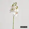Orquídea Phalaenopsis Pequeña Artificial Realista con Efecto Hidratante, Flor Artificial para Decoración de Hogar, Sala de Té, Zen, Orquídea Phalaenopsis Artificial Realista al Tacto 3D