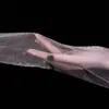 Calcetines de Aceite de Caballo para Mujer, Brillantes Sin Costuras, Sexys, Tallas Grandes, Transparentes Negros, Antidesgarros, Duraderos, Brillantes Aurora, Calcetines que Mejoran la Piel