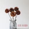 Flor seca, flor eterna, gypsophila, bola dorada, nomeolvides, rosa, hoja de eucalipto, piña, hierba del amante, venta al por mayor