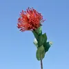 Flor de Flor de Agulha de Ramo Único KLS2956 Flor Artificial Flor Falsa Flor de Plástico Decoração Suave para Casa Ornamento Cena de Fotografia Material de Flor