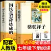 El Camello Xiangzi y Cómo se Hace el Acero Son Obras Originales de Lectura Obligatoria para Estudiantes de Séptimo Grado, Libros Extracurriculares de Lectura Obligatoria
