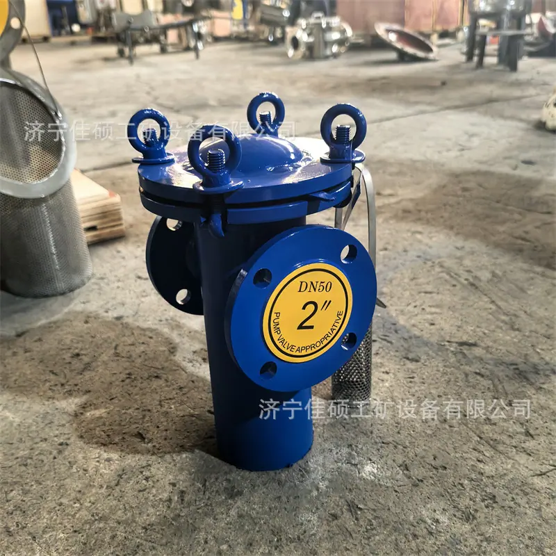 篮式过滤器 (12)