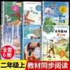 Livros Extracurriculares de Leitura Obrigatória do Segundo Ano no Primeiro Volume, Livros Clássicos Recomendados pela People's Education Press, Jovem Herói Wang Erxiao