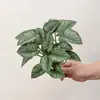 Plantas Verdes Simuladas Folhas de Jiboia Folhas de Casco de Tartaruga Paisagismo de Micro Paisagem Inseridas no Solo Folhas de Lótus de Guanyin Decoração de Casa Plantas em Vasos Plantas Artificiais