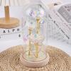 Cubierta de cristal de flor eterna Venta al por mayor directa de fábrica de rosas con luces LED Regalo para el Festival Tanabata Día de San Valentín