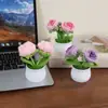 Flor de ganchillo tejida a mano rosa burbuja planta en maceta decoración de escritorio regalo creativo colgante de flor de hilo