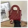 Bolso de Mano Acolchado Texturizado para Mujer, Estilo Coreano Nuevo Modelo 2026, Bolso de Hombro Cruzado de Alto Valor Ins de Nicho