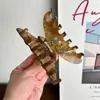 Estilo Moda para o Dia a Dia Francês Versátil Prendedor de Cabelo de Ácido Acético Presilha de Cabelo com Concha Pérola Sentido Avançado Grande Quantidade Prendedor Tiburón Acessórios de Cabelo