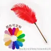 Dr. Varita de Pluma Suave Sheng En para Jugar con Tubo de Metal Juguete Sexual para Adultos Juguete de Entrenamiento Sm