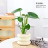 Planta de Monstera en Maceta para Escritorio de Oficina, Pequeña Planta Verde Purificadora de Aire, Decoración de Mesa para Interiores, Planta Fácil de Cuidar