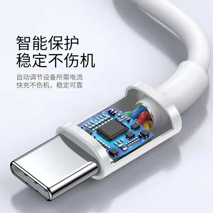 PD100W4