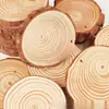 Lascas de Madeira DIY Materiais Pintados à Mão Pintura com Anéis de Árvore em Lascas de Madeira Criação de Ambiente para Jardim de Infância Pedaços de Madeira Pequenos Troncos de Madeira Metabo