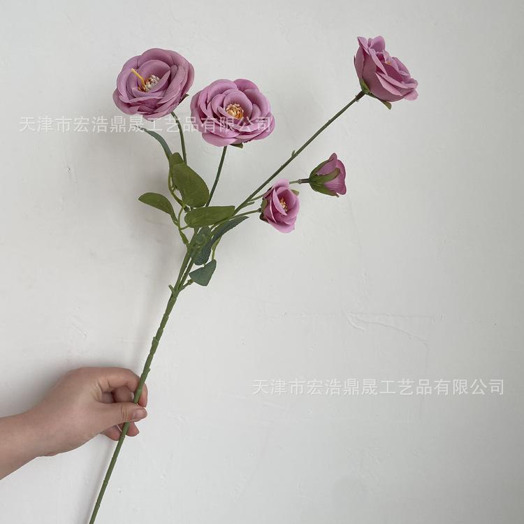 微信图片_202204111604493_副本