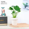 Planta de Monstera en Maceta para Escritorio de Oficina, Pequeña Planta Verde Purificadora de Aire, Decoración de Mesa para Interiores, Planta Fácil de Cuidar