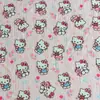 Pijama Feminino Novo Primavera e Outono 2026, Manga Longa e Calça, Estilo Cartoon Doce Casual de Alta Qualidade, Adequado para Usar Fora de Casa como Homewear