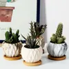 Dongheng Maceta de Animales Estilo Japonés y Coreano Maceta Mini Pulgar Adornos Set de Búho Cambio de Horno Maceta para Suculentas con Base